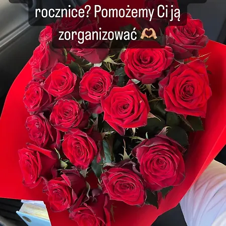 Stary Zdroj * 波兰尼卡-兹德鲁伊