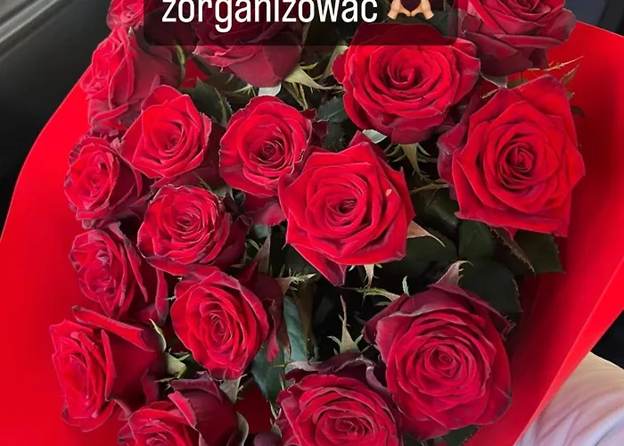 Stary Zdroj * Polanica-Zdrój